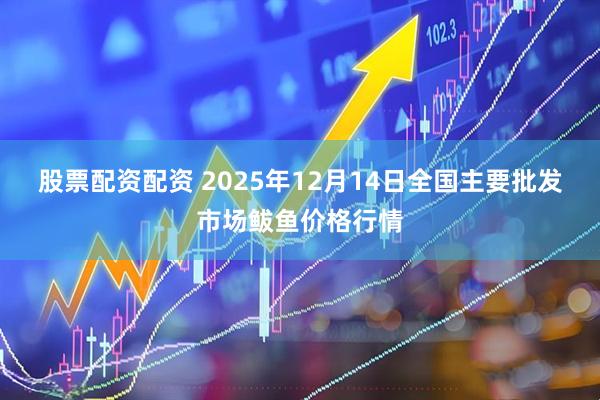 股票配资配资 2025年12月14日全国主要批发市场鲅鱼价格行情