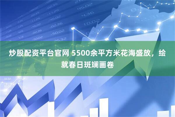 炒股配资平台官网 5500余平方米花海盛放，绘就春日斑斓画卷